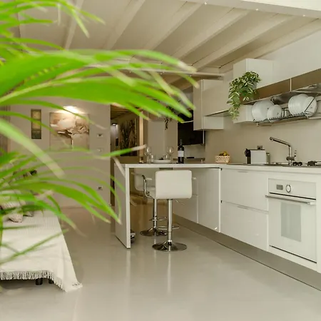 Apulialux - Design Loft W Sauna Near Vecchia バーリ